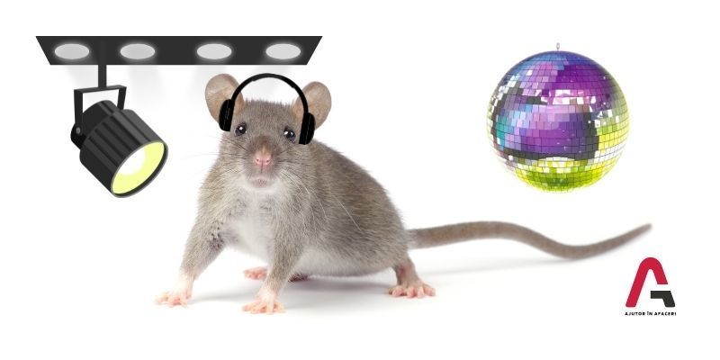 Și șobolanii iubesc muzica